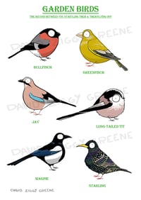 Image 1 of Garden Birds 2 print