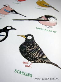 Image 2 of Garden Birds 2 print