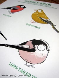 Image 4 of Garden Birds 2 print