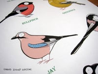 Image 3 of Garden Birds 2 print