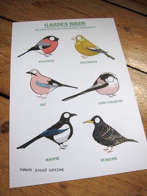 Garden Birds 2 print