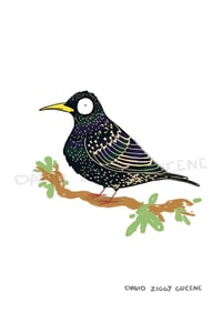 Image 3 of Garden Birds individual prints