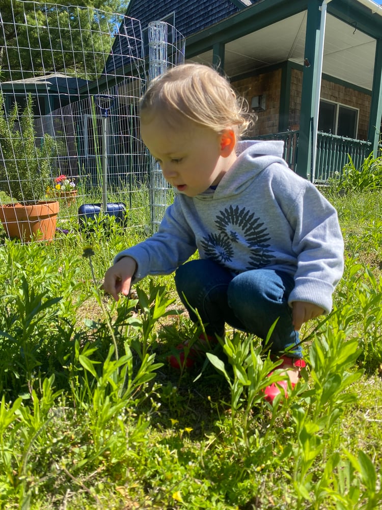 Image of Fern Heart toddler hoodie