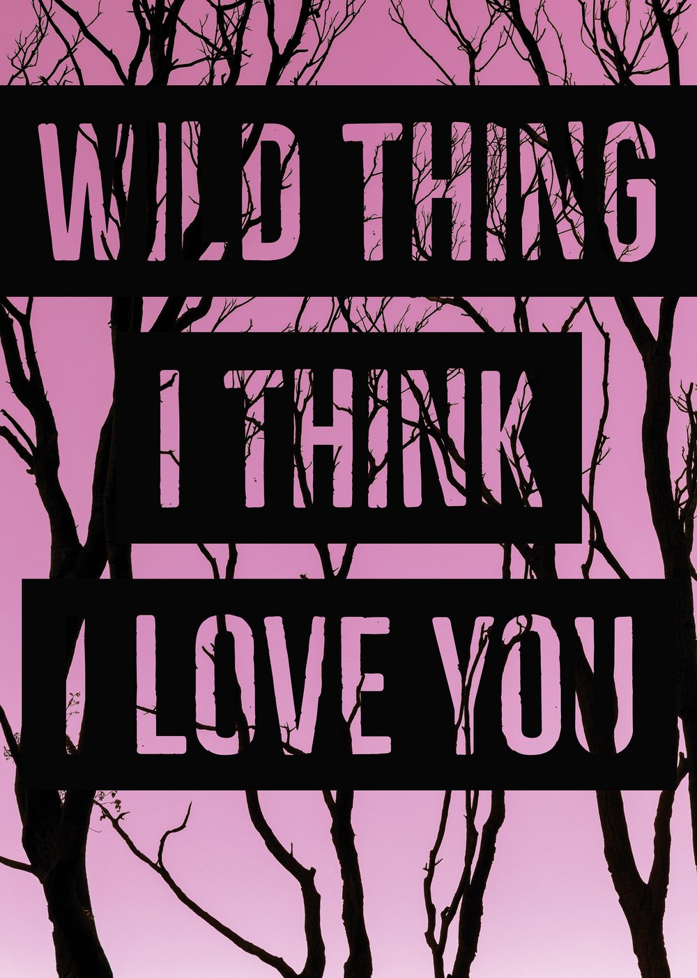 Wild Thing, I Think I Love You