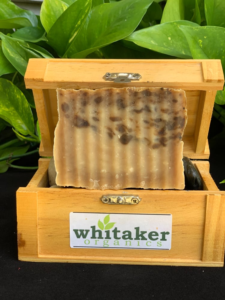 Image of Black Turmeric 