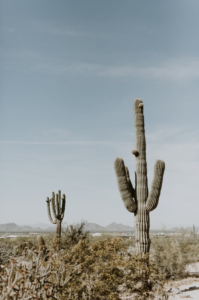Image of Arizona Desert Print