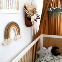 Image 2 of Golden Wattle Rainbow Mini + Standard 