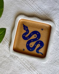 Image 2 of 'Serpiente Azul' Catch All