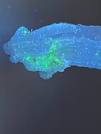 Image 5 of Rams Horn Selenite, Gypsum Specimen | Guizhou China #2867