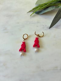 Image 3 of Mini lobsters