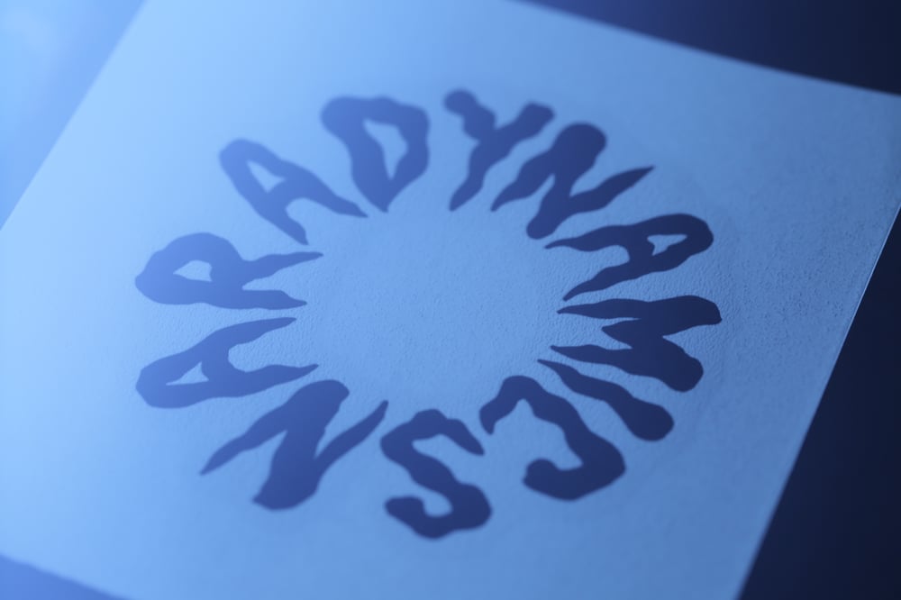 NARA DONUT DECAL 