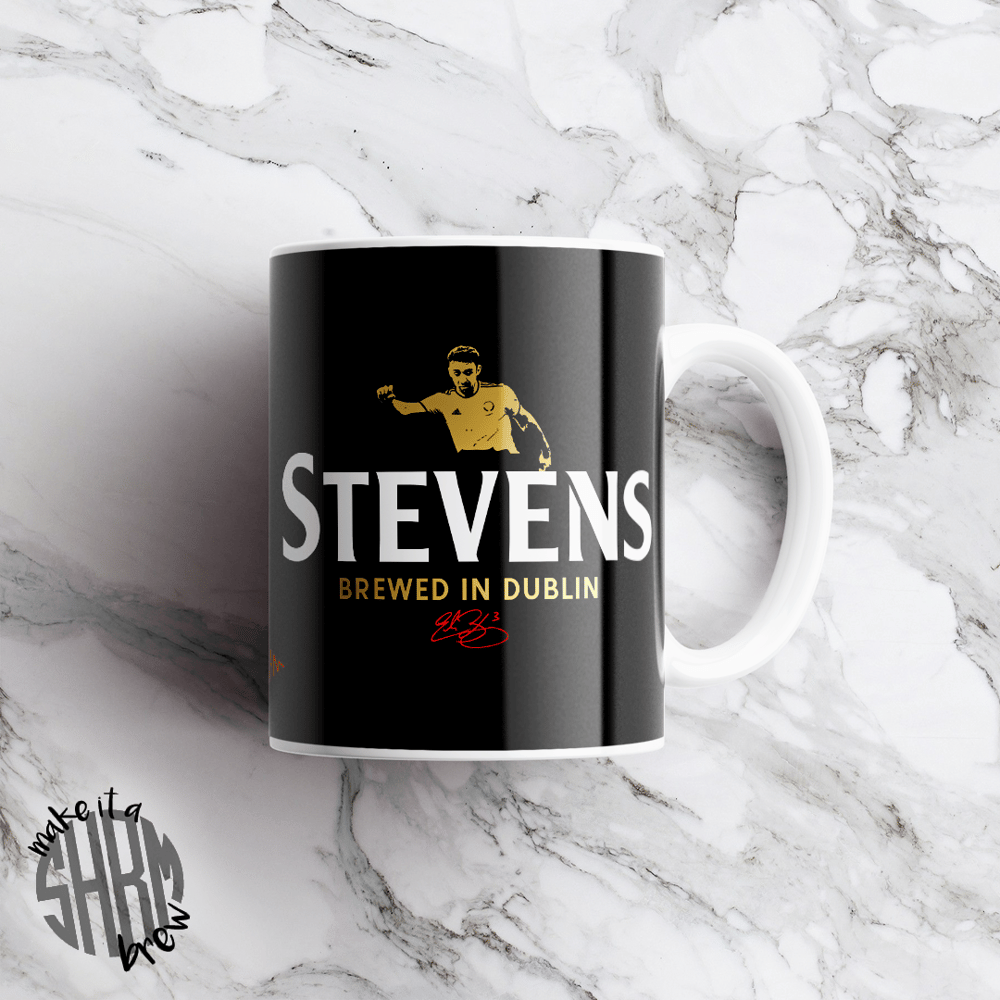 Image of Stevens - Brewed In Dublin Mug