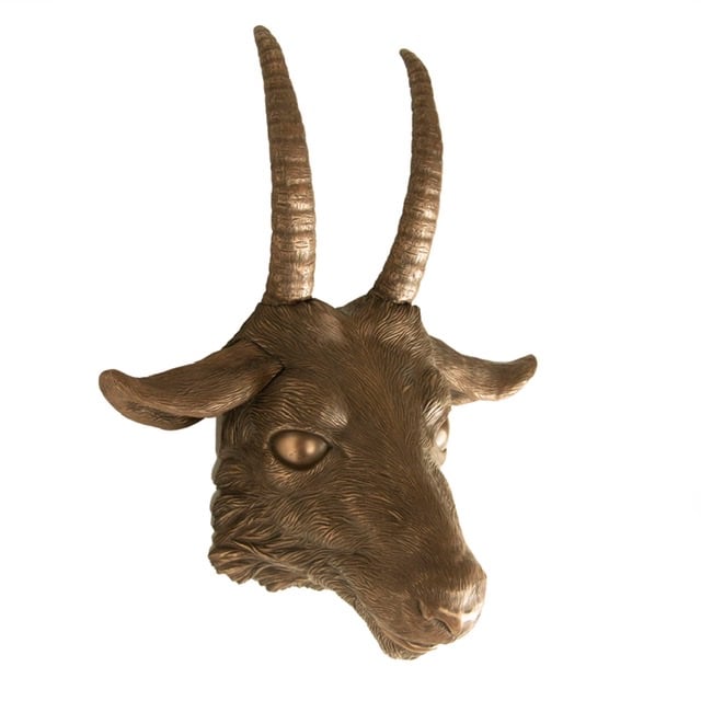 Image of Goat 