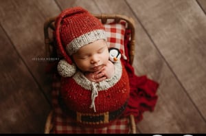 Image of Penguin Snuggler preorder 