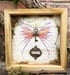 Image of Beautiful Froud Faerie Wing decorative frame