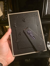 Image 3 of 1800’s biblical Ghost with preserved spider web - black frame B