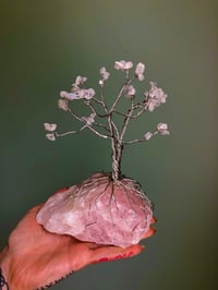 Rainbow Moonstone Tree on Rose Quartz 