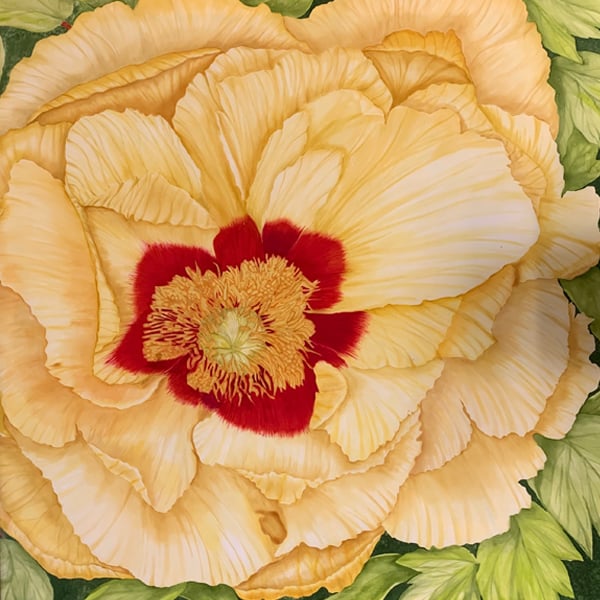 Image of Yellow Tree Peony