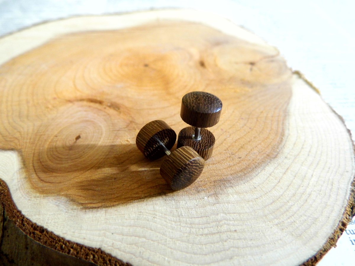 Pair of Brown Wood Earring Stud Faux Plugs