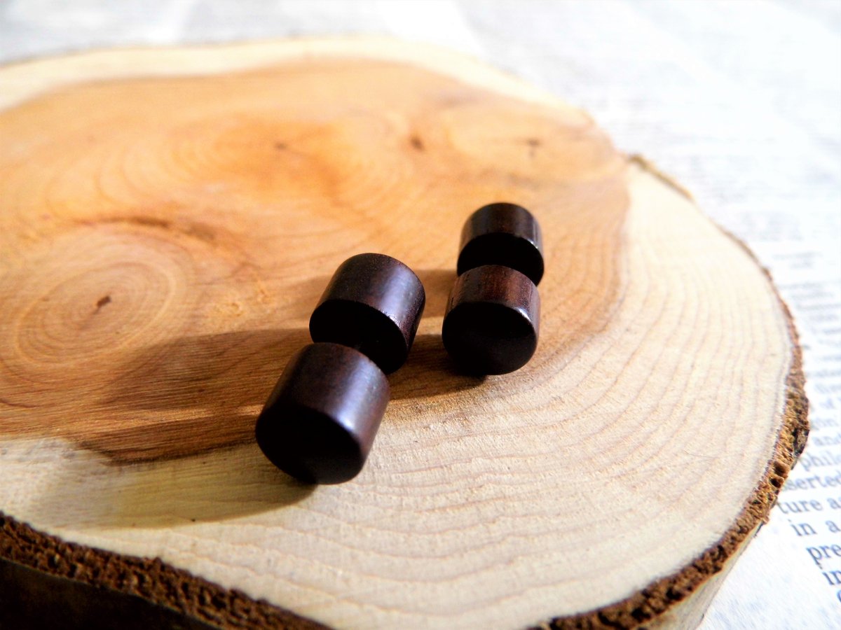 Pair Brown Wooden Earrings Studs Faux Plugs