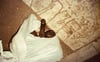 Cat in the Bag