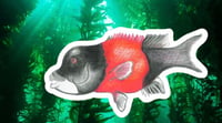 Image 3 of Sheepshead Sticker