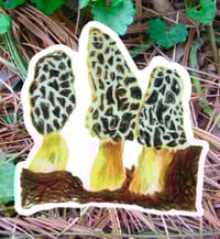 Image 2 of Morel Mushrooms Sticker
