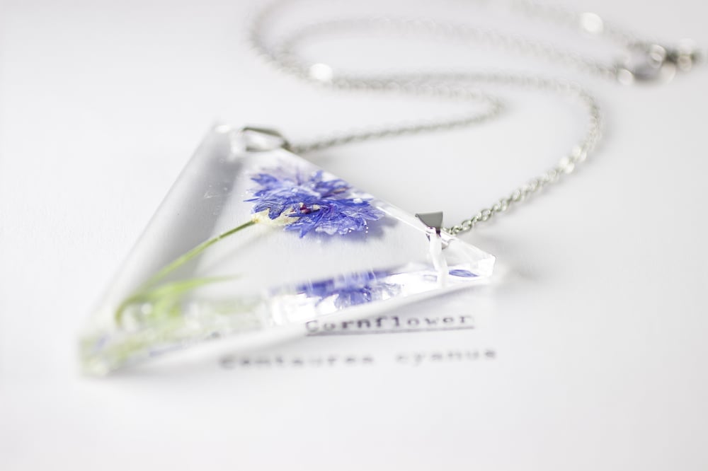 Image of Cornflower (Centaurea cyanus) - Triangular Pressed Pendant #2