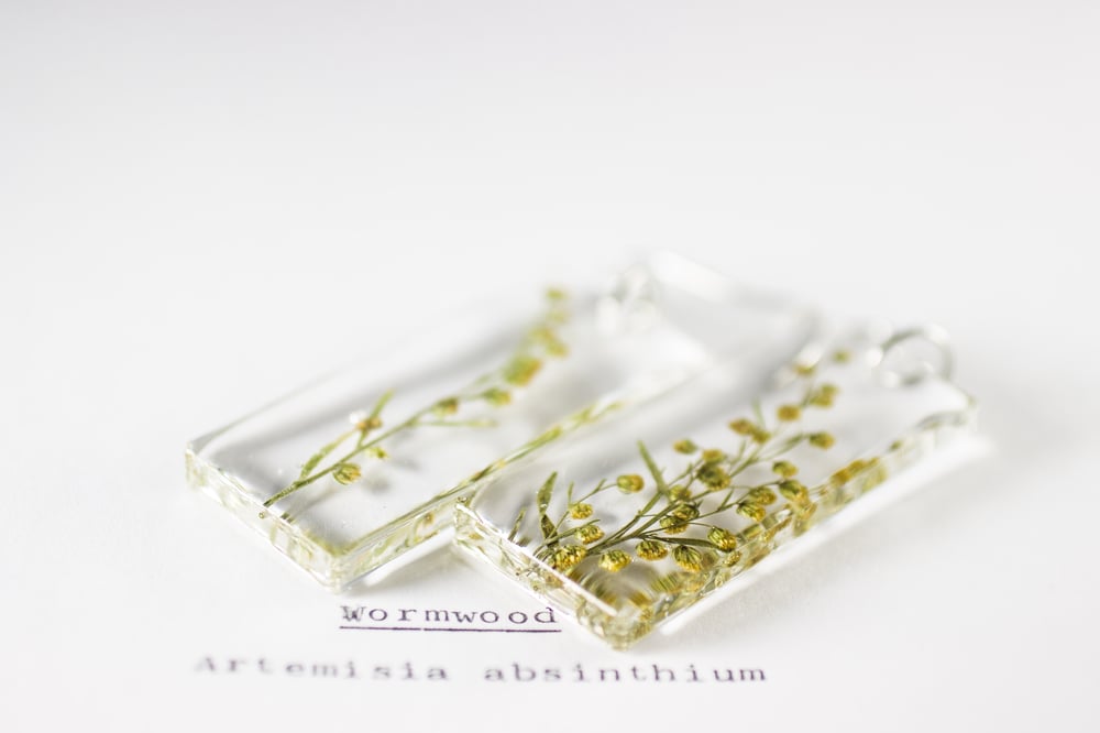 Image of Wormwood (Artemisia absinthium) - Pressed Earrings #3