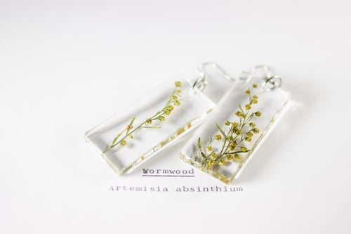 Image of Wormwood (Artemisia absinthium) - Pressed Earrings #3