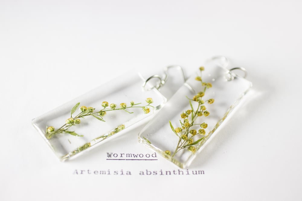 Image of Wormwood (Artemisia absinthium) - Pressed Earrings #4