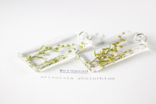 Image of Wormwood (Artemisia absinthium) - Pressed Earrings #4