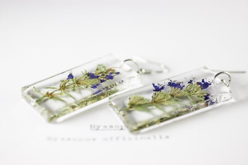 Image of Hyssop (Hyssopus officinalis) - Pressed Earrings #1