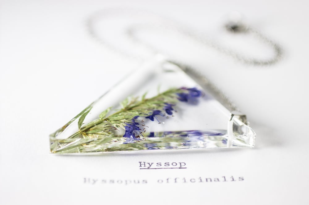 Image of Hyssop (Hyssopus officinalis) - Triangular Pressed Pendant #2