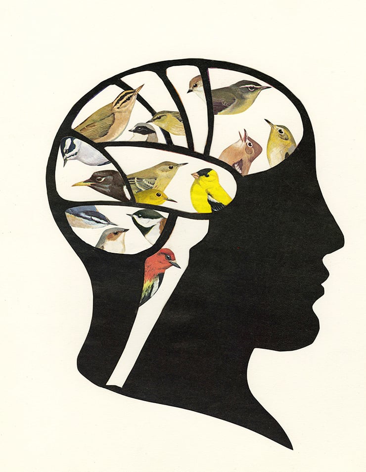 Image of Bird Brain. Limited edition collage print.