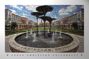 Image of TCU - FROG FOUNTAIN