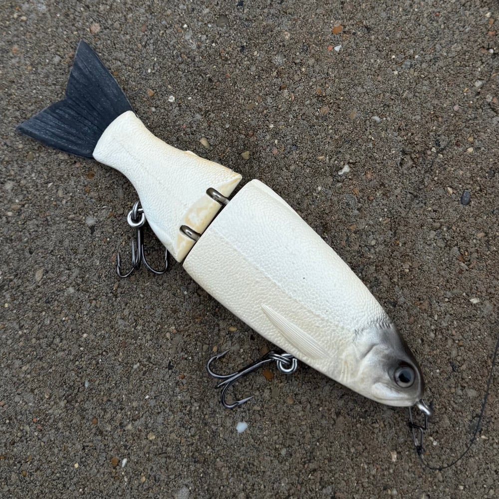 Image of 8 inch slow sink trout