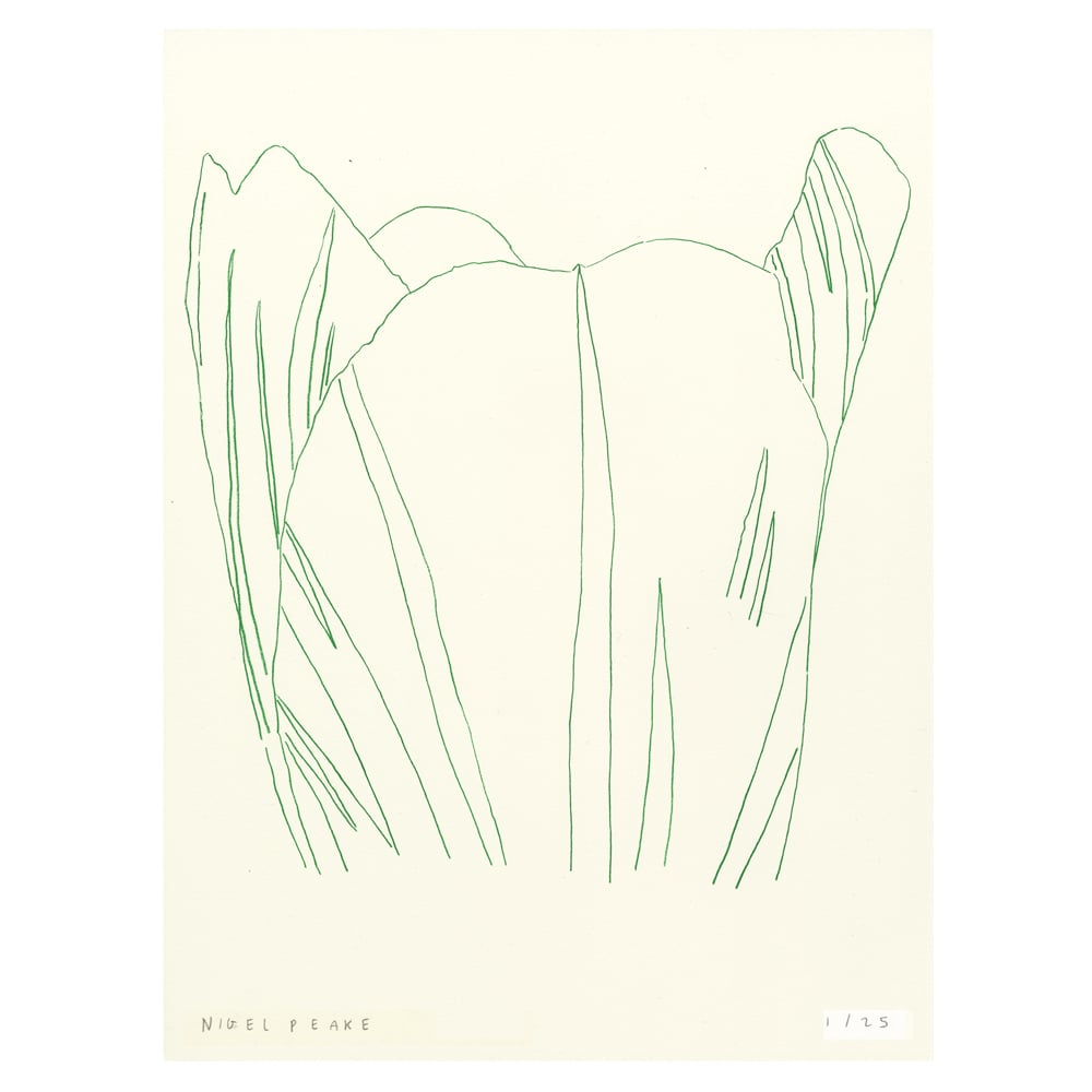 Image of plant i