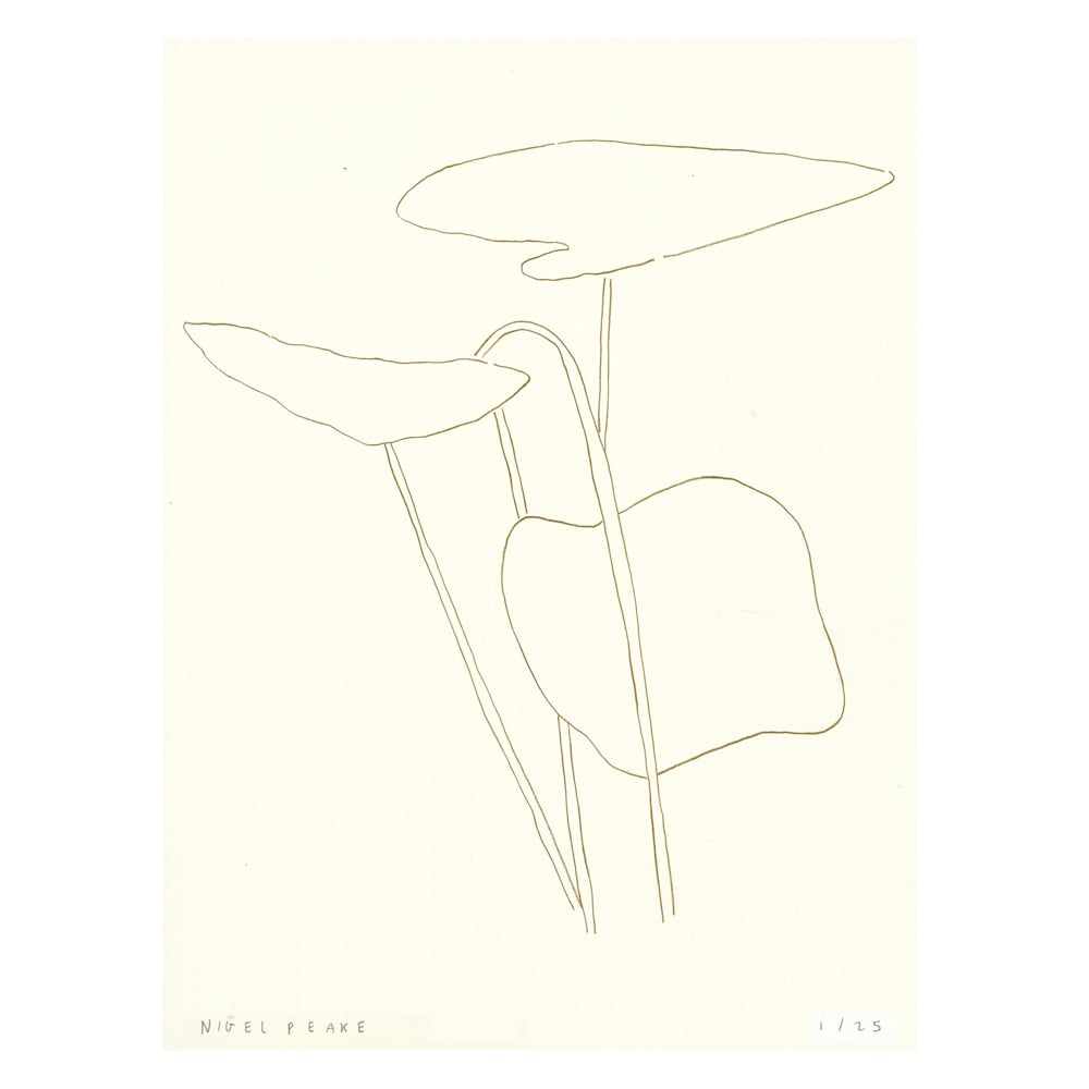 Image of Plant iii