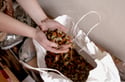 Locally Grown Dried Marigolds