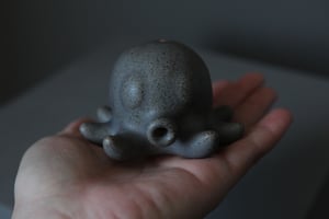 Image of Octopus pipe