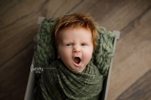 Image of Organic Cotton Layers (7 colors)