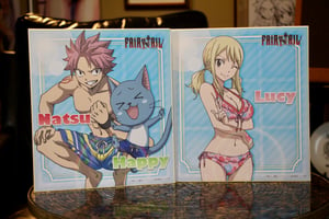 Image of Natsu x Lucy Swimsuit Fairy Tail Japan OFFICIAL Shikishi Boards
