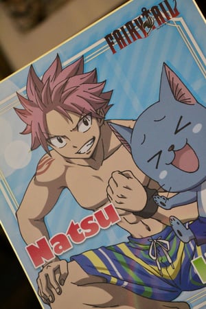 Image of Natsu x Lucy Swimsuit Fairy Tail Japan OFFICIAL Shikishi Boards