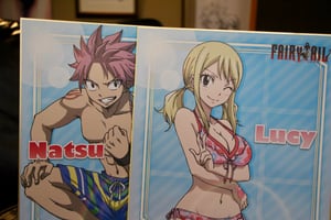Image of Natsu x Lucy Swimsuit Fairy Tail Japan OFFICIAL Shikishi Boards