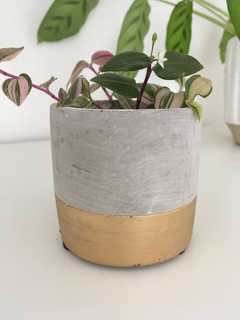 Image of Sass & Belle - Tuva Mini Planter