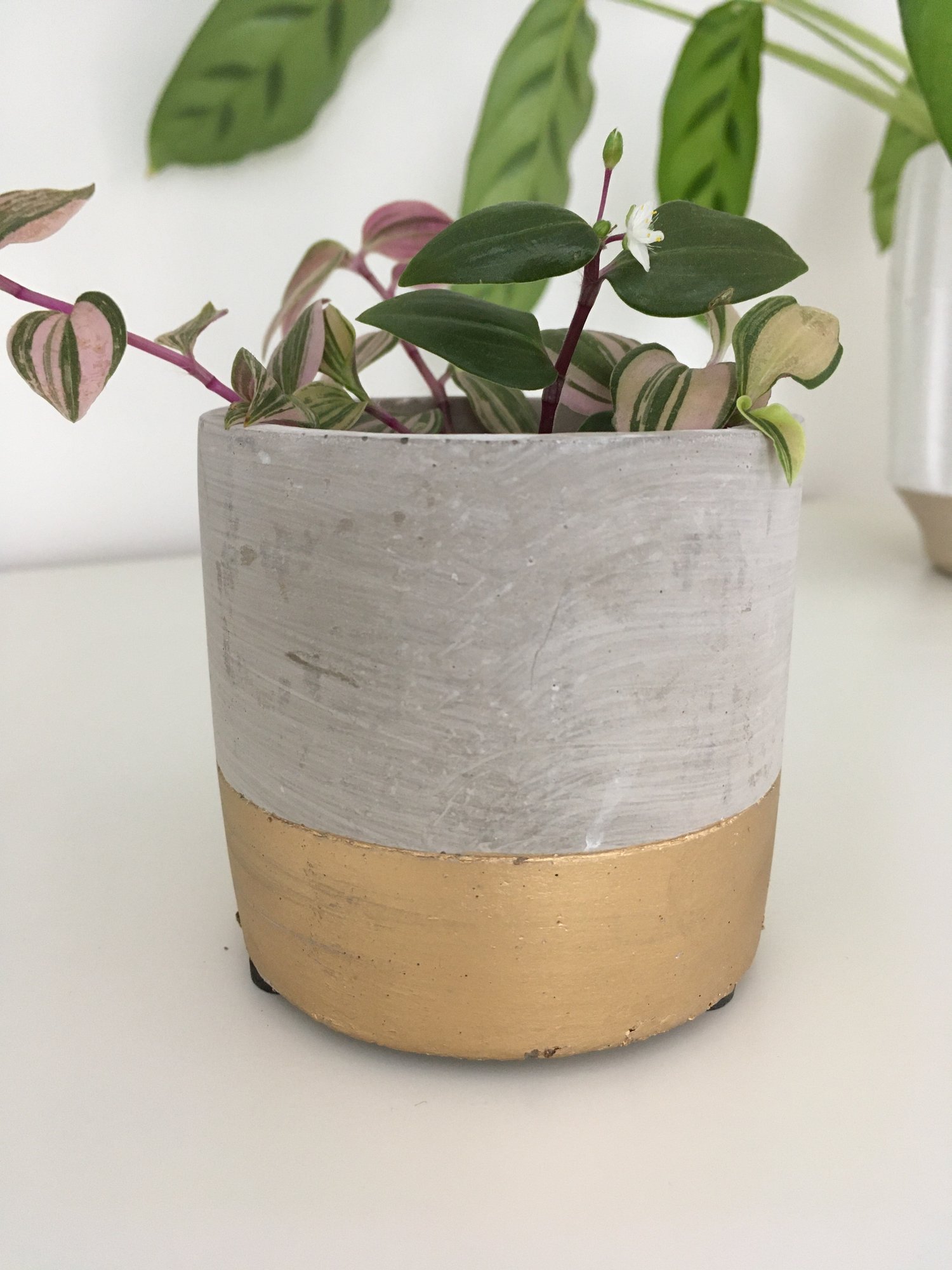 Image of Sass & Belle - Tuva Mini Planter