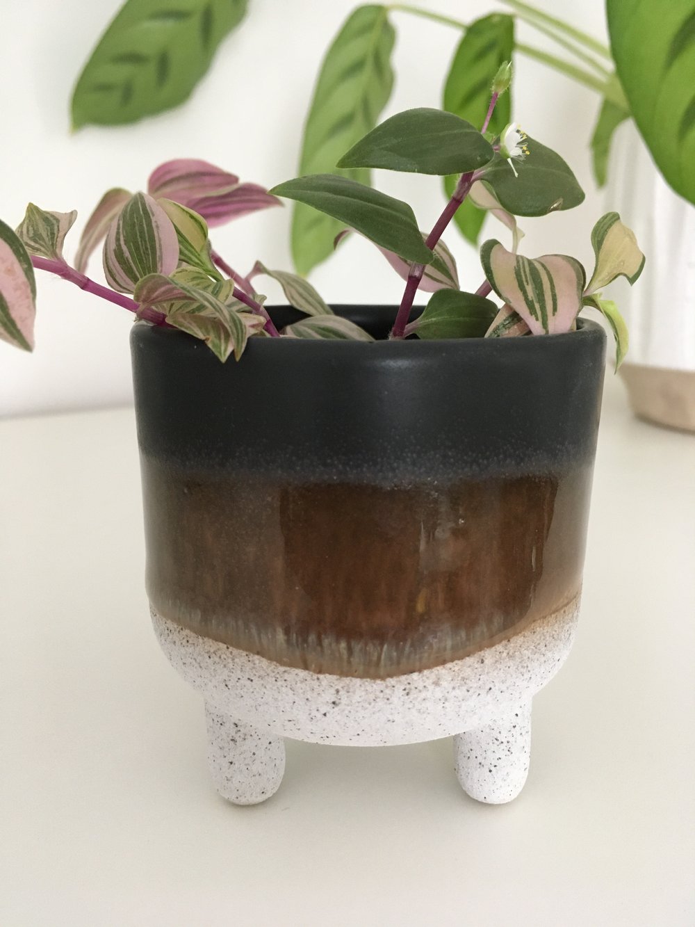 Image of Sass & Belle - Mojave Glaze Black Planter 