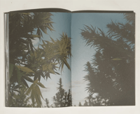 Image 3 of Henrik Purienne & Jean Pierrot - Wandering and Learning - Holyweed