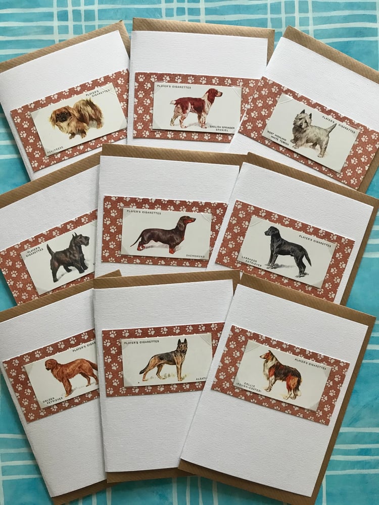 Image of Dog Breeds